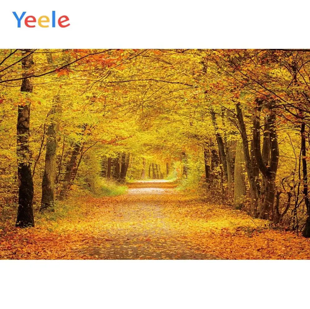 Yeele осенний лес дорожный пейзаж свадебные обои персонализированные фотографии фоны для фотостудии