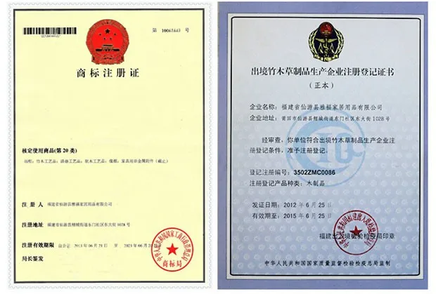 Certificate-01
