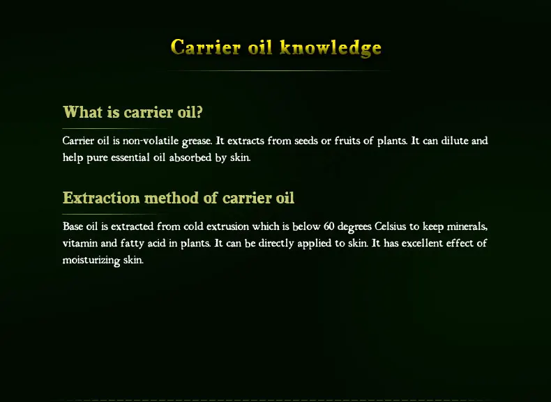 rose-hip_17