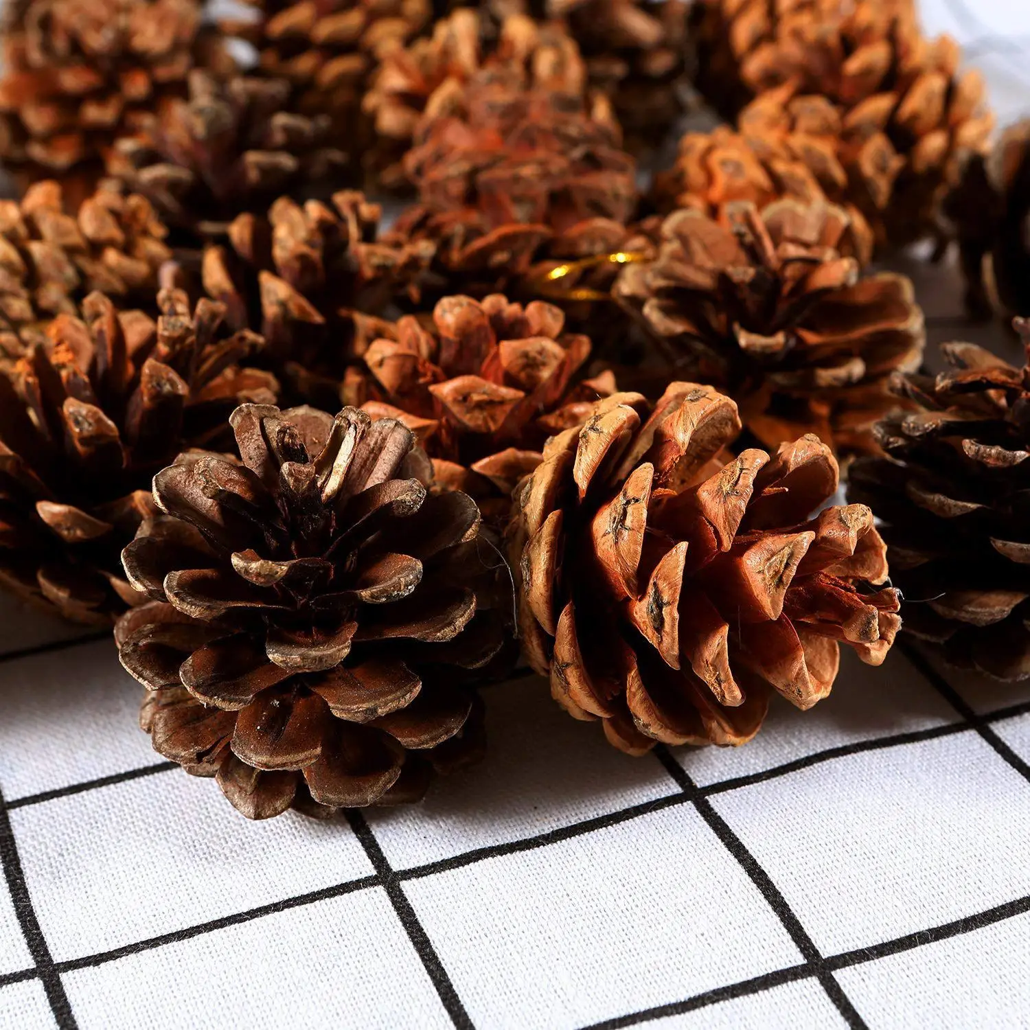 

24 Pieces Pine Cones Ornament Natural PineCones With String Pendant Crafts for Gift Tag Tree Party Hanging Decoration