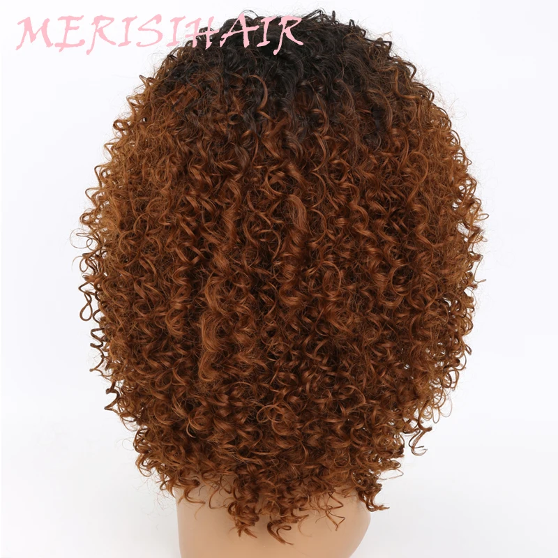 MERISI HAIR Long Kinky Curly Afro Wig Blonde Mixed Brown Color Synthetic Wigs for Black Women Heat Resistant Fiber 250g  (2)