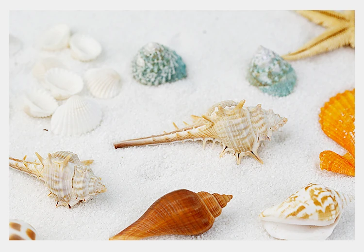 baby photography ocean theme props
