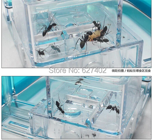 QQ20150518161652.jpg