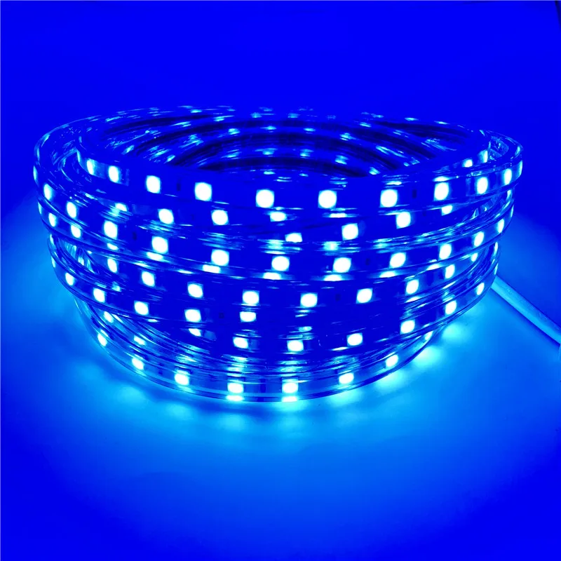 Светодиодный светильник AC 220 В SMD 5050 гибкая светодиодная лента 60 Светодиодный s/m лента для гостиной 1 м 2 м 3 м 4 м 5 м 6 м 8 м 10 м 12 м 15 м 20 м 22M 25 м - Испускаемый цвет: Blue