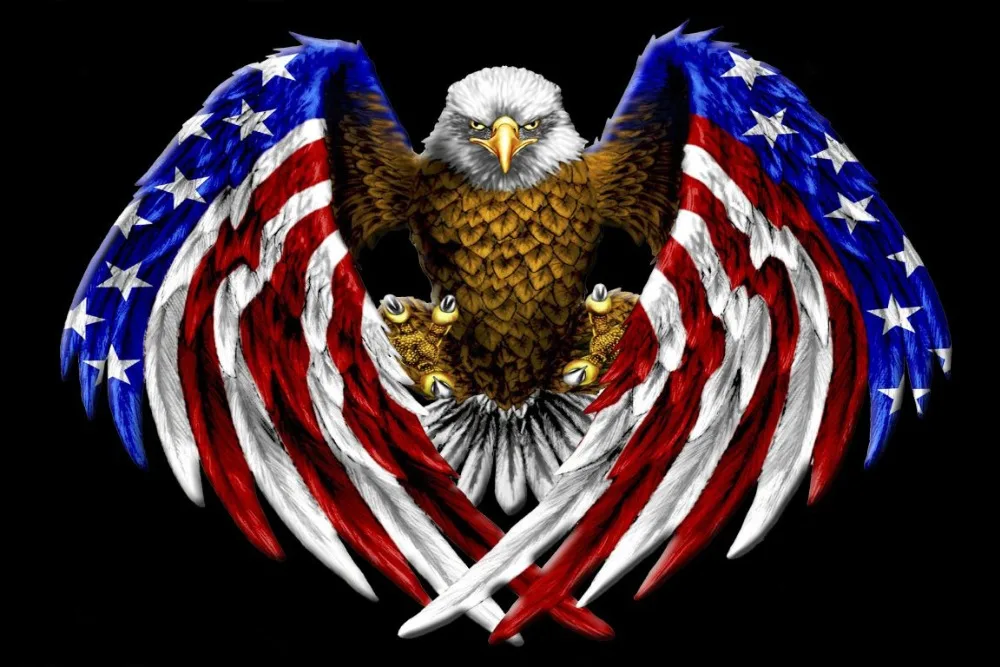 birds-freedom-talons-american-wings-flag-bald-eagle-bird-desktop-picture-1366x768 - 