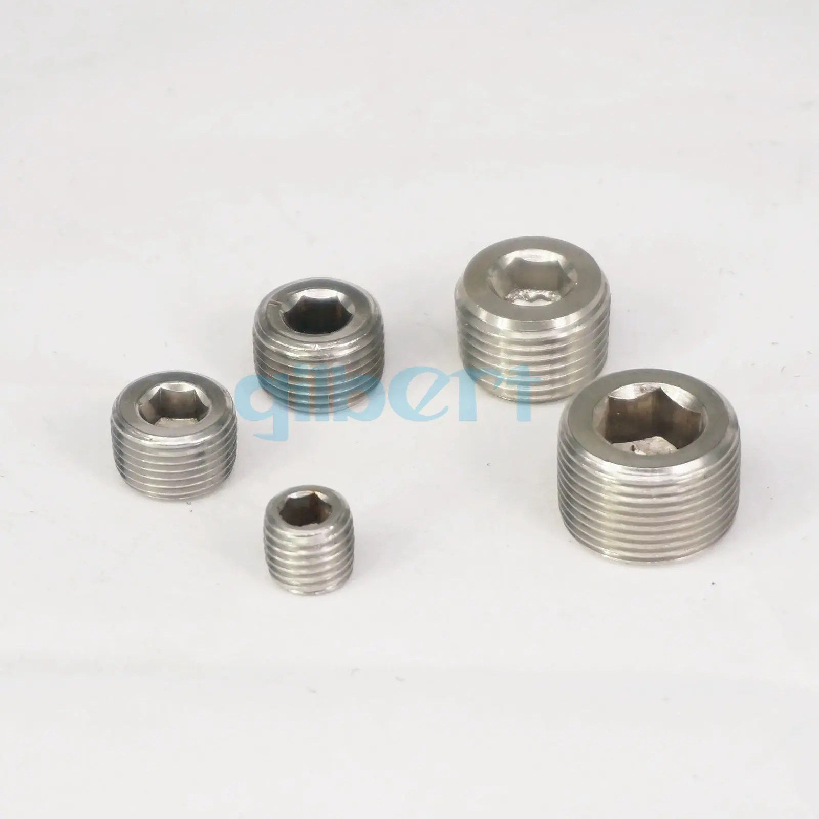 

M8-M24 Metric Male SS304 Countersunk End Plug Internal Hex Head Socket Fitting