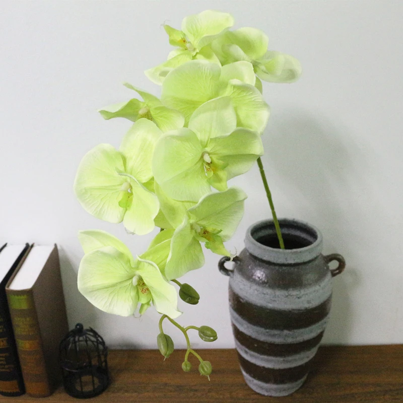 Borboleta Da Flor Da Orquídea Para A