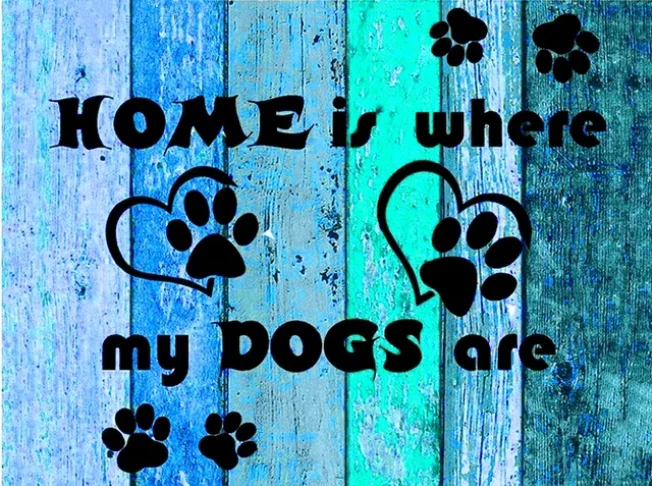 HTB1B1BKdTmWBKNjSZFBq6xxUFXaM