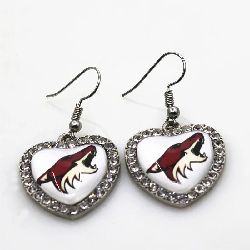 Ice Hockey 5pair/lot Arizona Team Earrings For Women Fashion Sport Charms Jewelry Earrings Jewelry Sports Earring