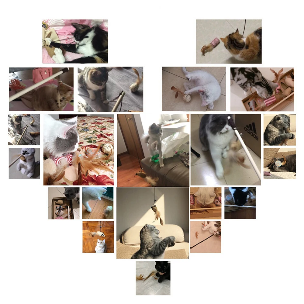 cat toy group