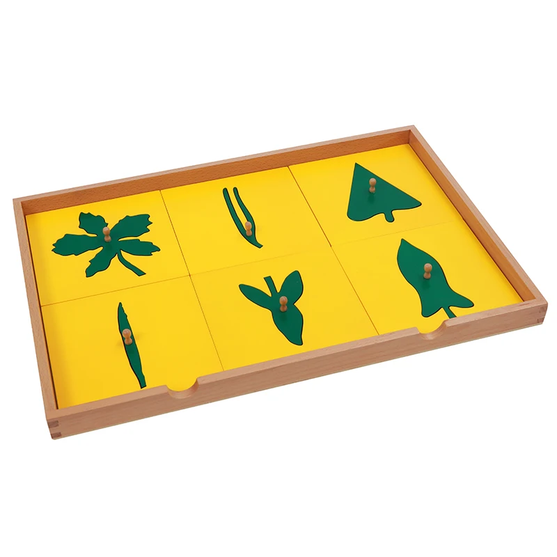  Baby Toy Montessori Botany Leaf Cabinet with Insets Early Childhood Preschool Kids Brinquedos Jugue