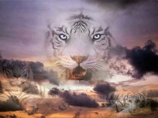 DIY-5d-diamond-painting-Animal-Cross-Stitch-puzzle-mosaic-Scenery-full-square-diamonds-embroidery-tiger-pattern.jpg_640x640