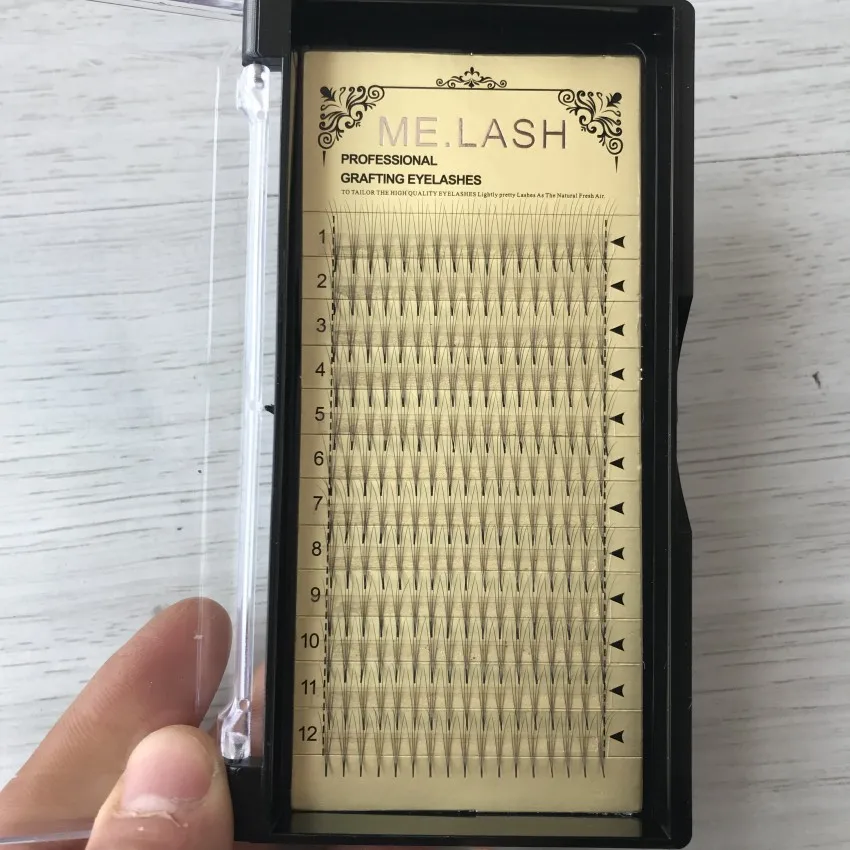 4d premade fans eyelashes extensions (12)