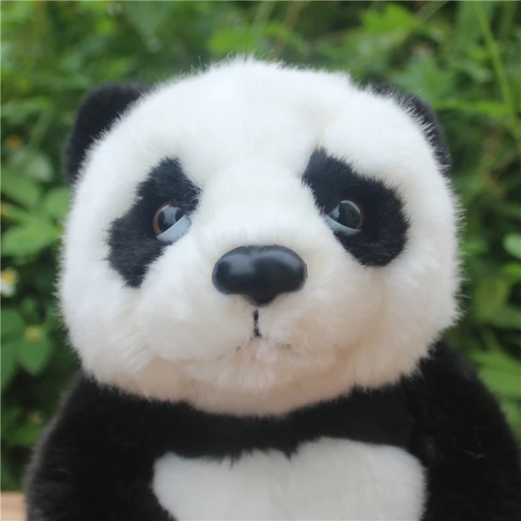 TB2uZzgpl8lpuFjy0FnXXcZyXXa_!!670693149