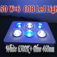 Растет свет 900 Вт Белый Синий Лучшие лампы гидропоники Освещение для Спецодежда медицинская растениеводства DIY спектра