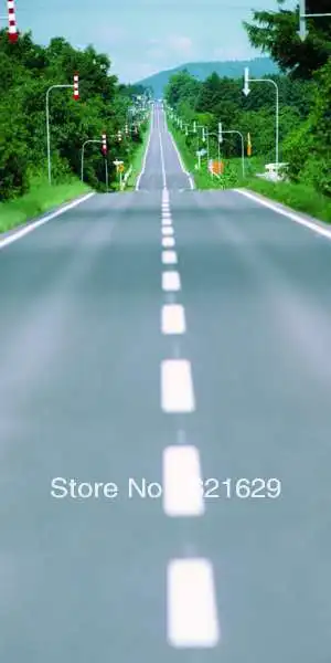 

Rural road 10'x20' CP Computer-painted Scenic Photography Background Photo Studio Backdrop DT-XU-0246