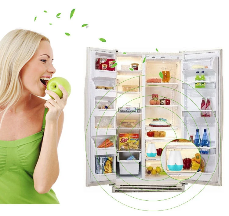 Home Ozone Air Purifier Generator Fridge Fruit Vegetables Shoe Wardrobe O3 Ionizer Sterilization Disinfect Fresh Air Purifier (25)