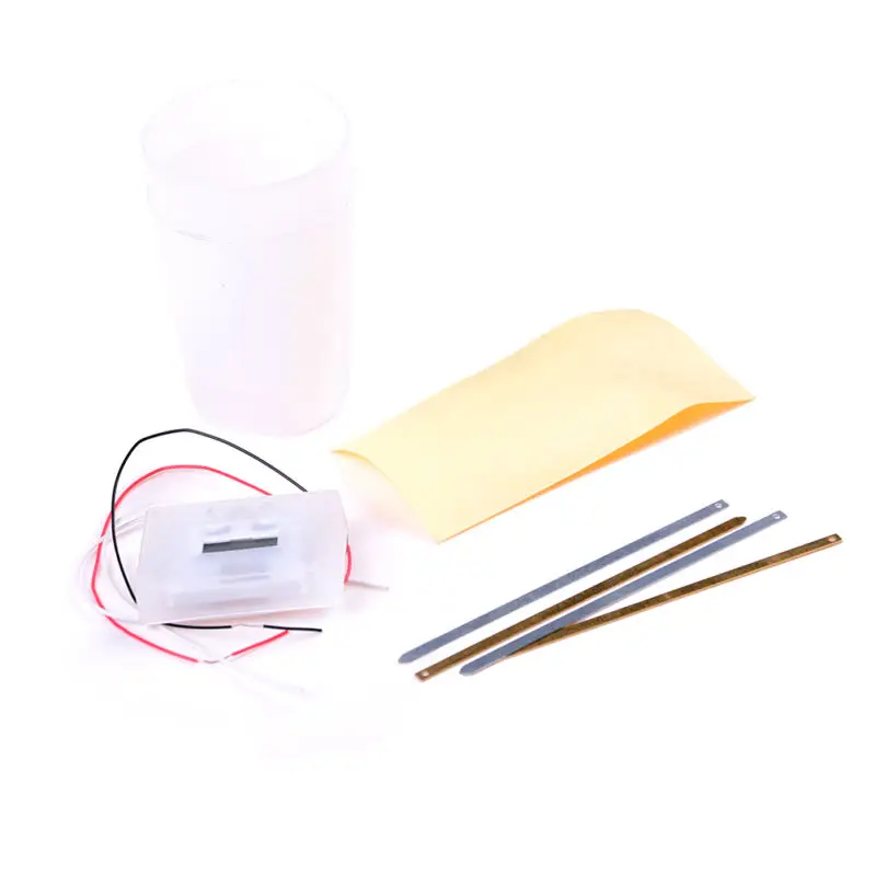 Kit d'expérimentation de pommes de terre de projet d'horloge verte de bricolage pour la maison de laboratoire d'enfants de Science