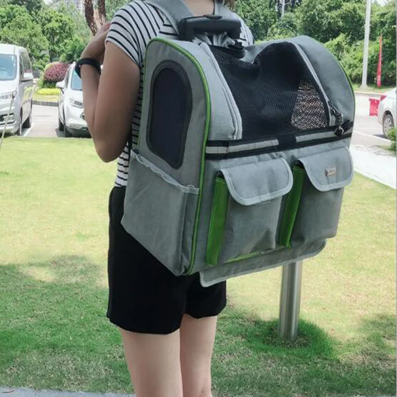 QQ20190429110148 