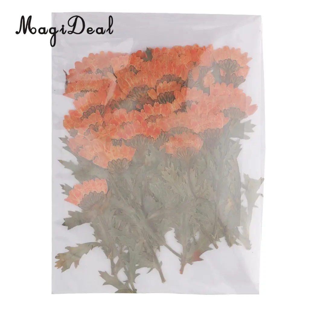 MagiDeal 50pcs Beautiful Pressed Rose Flower Dried Flowers for Art Craft Scrapbooking Card Making House Decoration