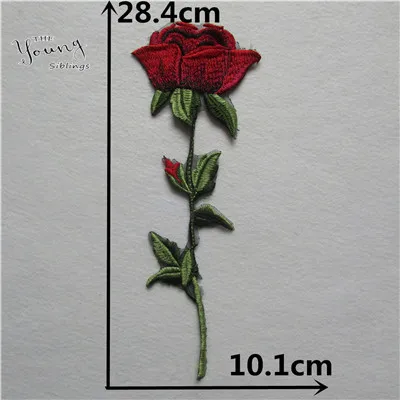 YL519