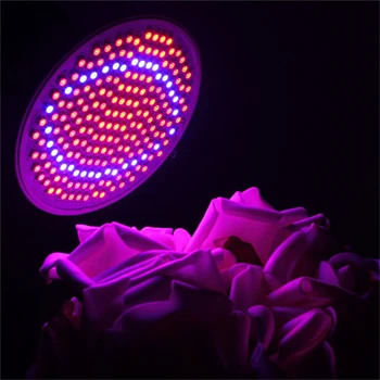 

LED Grow Lights 30W 200LED LED Plant Grow Light Full Spectrum E27 Red+Blue Hydroponic Flower Veg Growing Lamps