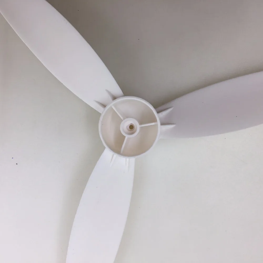 IMG_4985