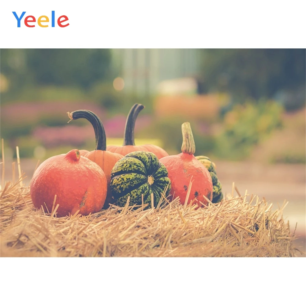 

Yeele Halloween Pumpkin Haystack Baby Child Photography Background Children Party Photographic Backdrop For Photo Studio