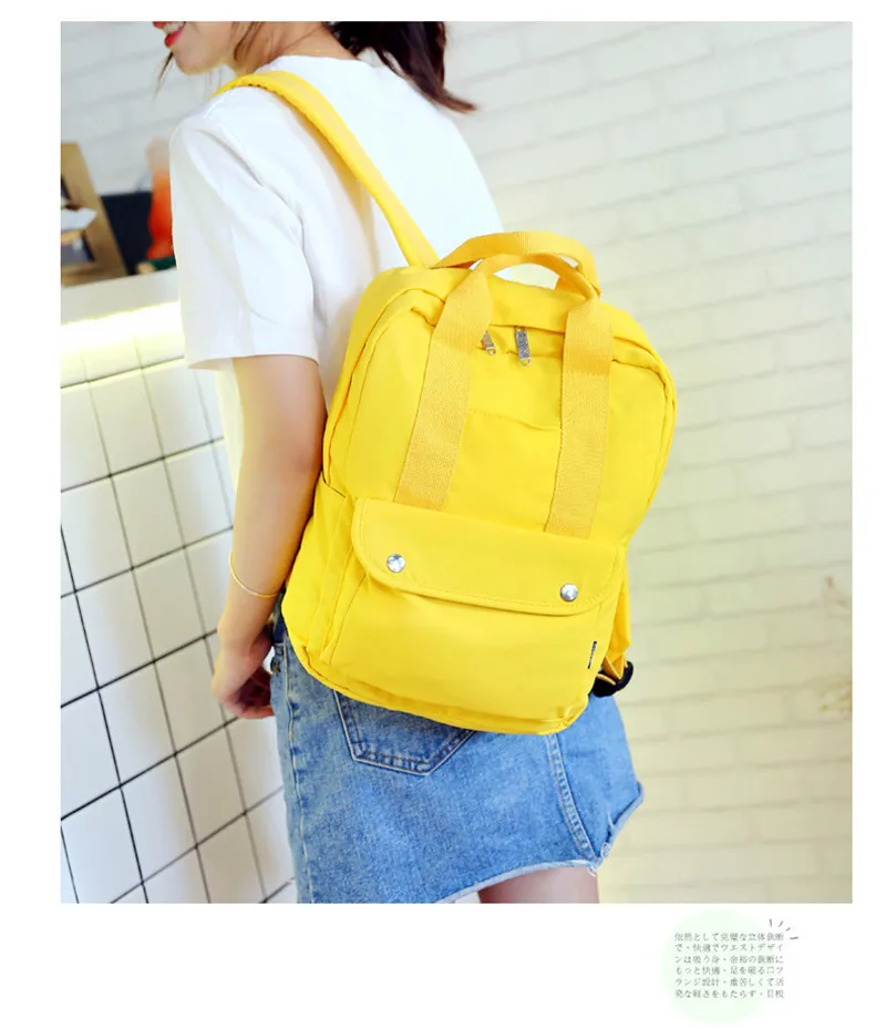 BPK484 (16)
