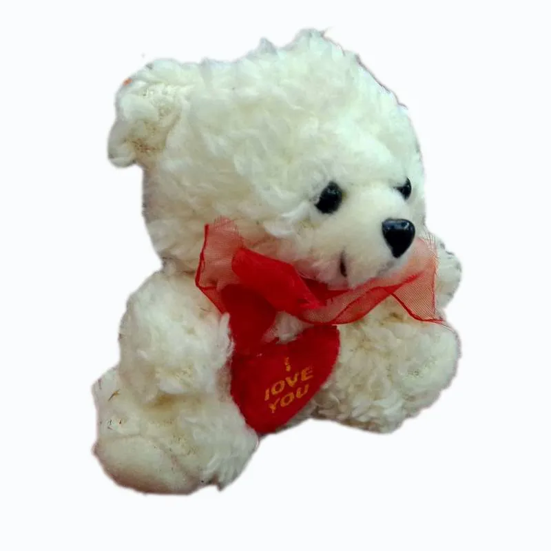 6CM long wool teddy bear stuffed animals 5