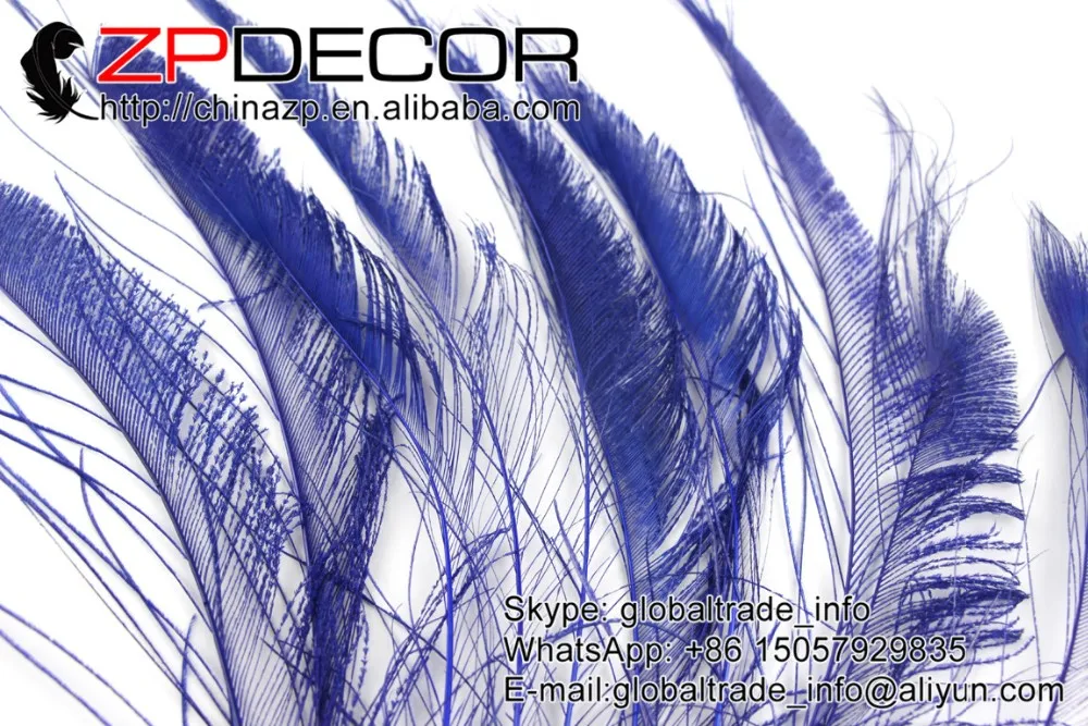 Royal blue peacock swords feathers (2)