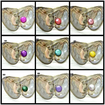 

10Pcs Coin Pearl Oysters Freshwater Oyster with Rainbow Colored Coin Pearls Real 12-14MM Mix Colors Pearls Free Shipping PJW323