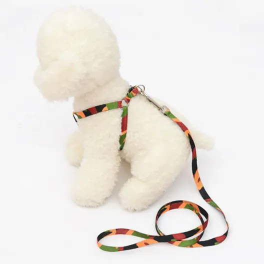 3757852517_1756254533_