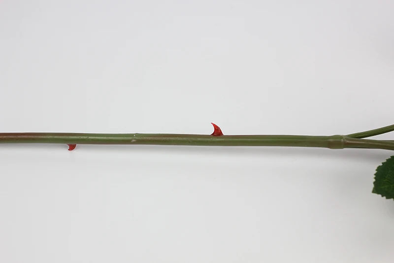 7-3-stem detail