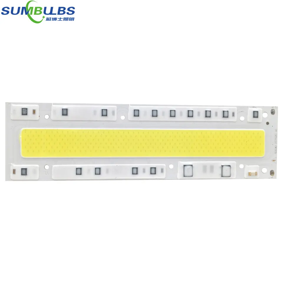 

Sumbulbs Smart IC Diode LED COB Bulb 110V 220V AC Light Source 150W 100W 70W 50W 30W Matrix Chip with LED Driver Outdoor Lamp