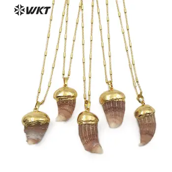 

WT-JN094 WKT Natural Astroies Pendant Tooth Shape Gold Capped Pendant Women Elegant Necklace Beach Shell Jewelry