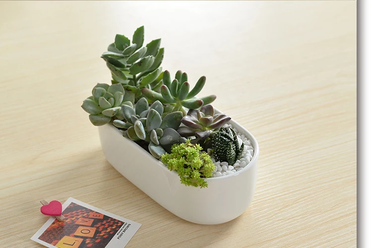 geometric white planter pot