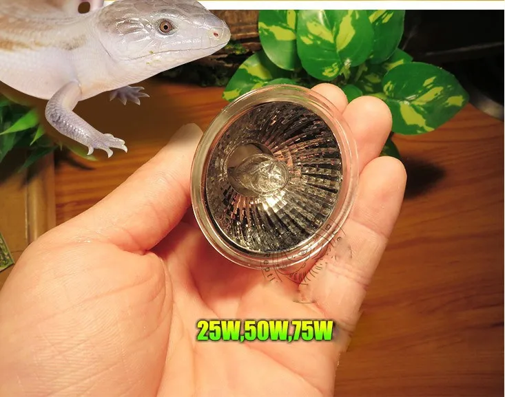 Sunning Heat Lamp 25~75 Watt Bulb, emits a broad-spectrum light, Provided A Basking Lamp Reptiles, Amphibians, And other Animals1