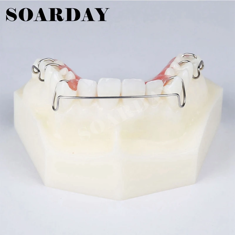 Dental Retainer Demonstration Model Orthodontics Treatment Model  (1)