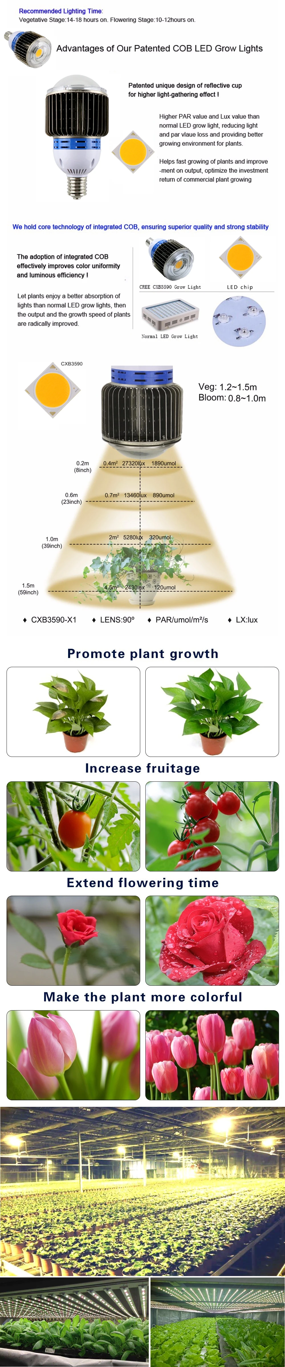 Полный спектр E27 220V Светодиодный светильник для выращивания растений, фитоламповая фитолампа для комнатных садовых растений, цветочного гидропоника, шатер для выращивания, коробка