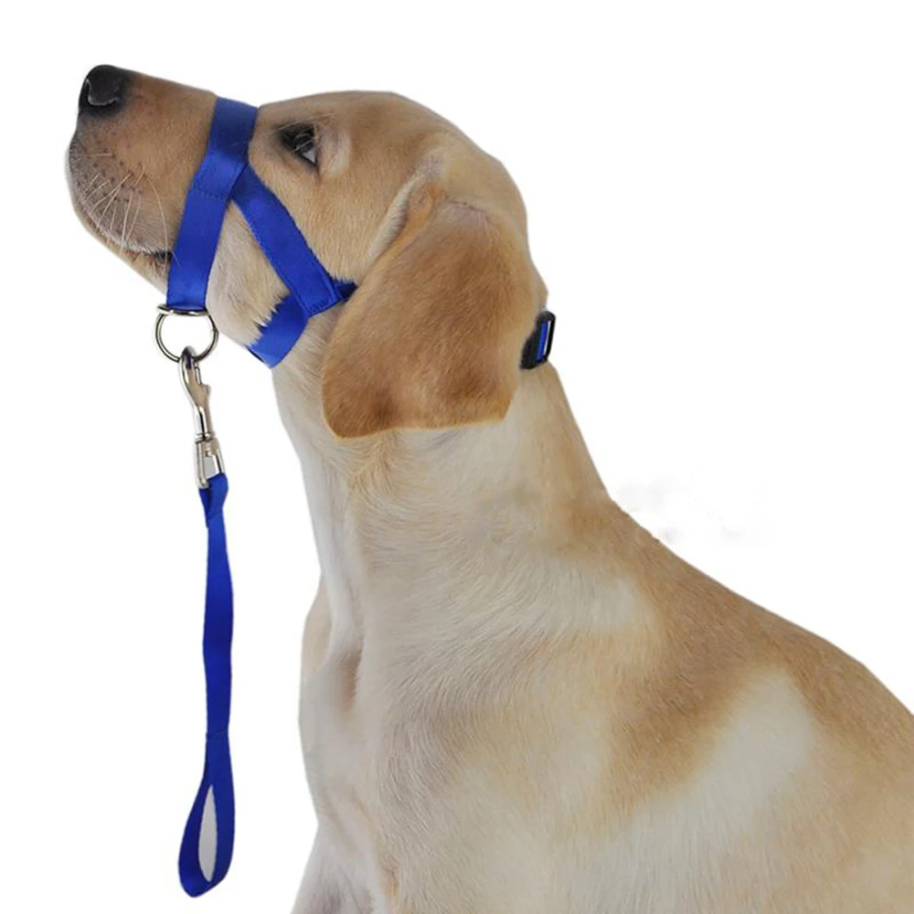 fabric muzzle