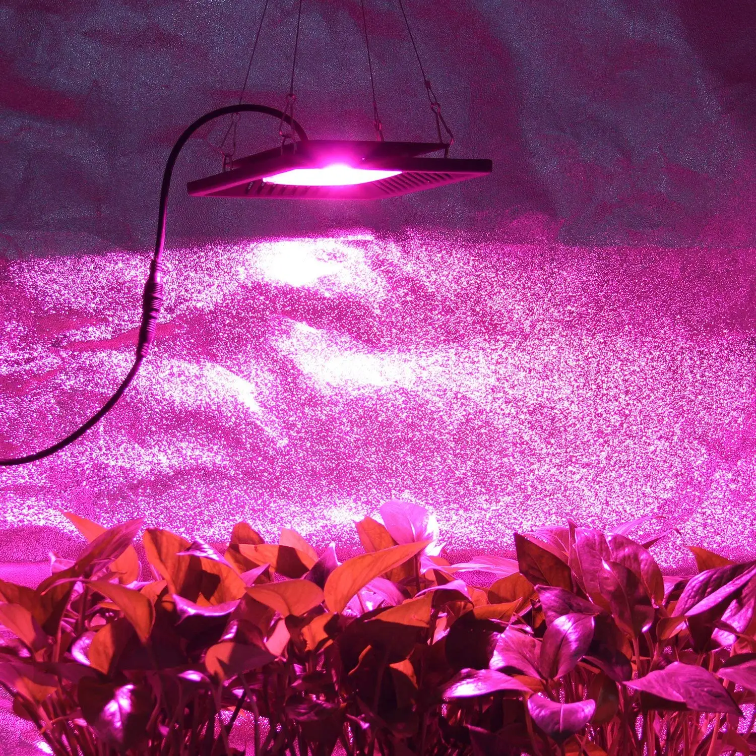 УДАРА СВЕТОДИОДНЫЙ завода светать 50/100 W Водонепроницаемый полный спектр Наводнение для внутреннего растения, овощи, саженцы естественное