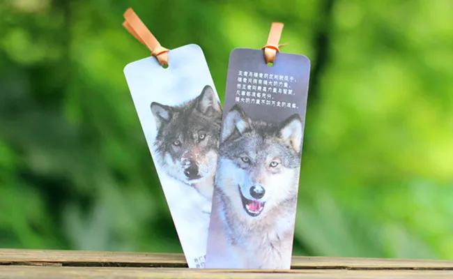 Wolf Totem (4)