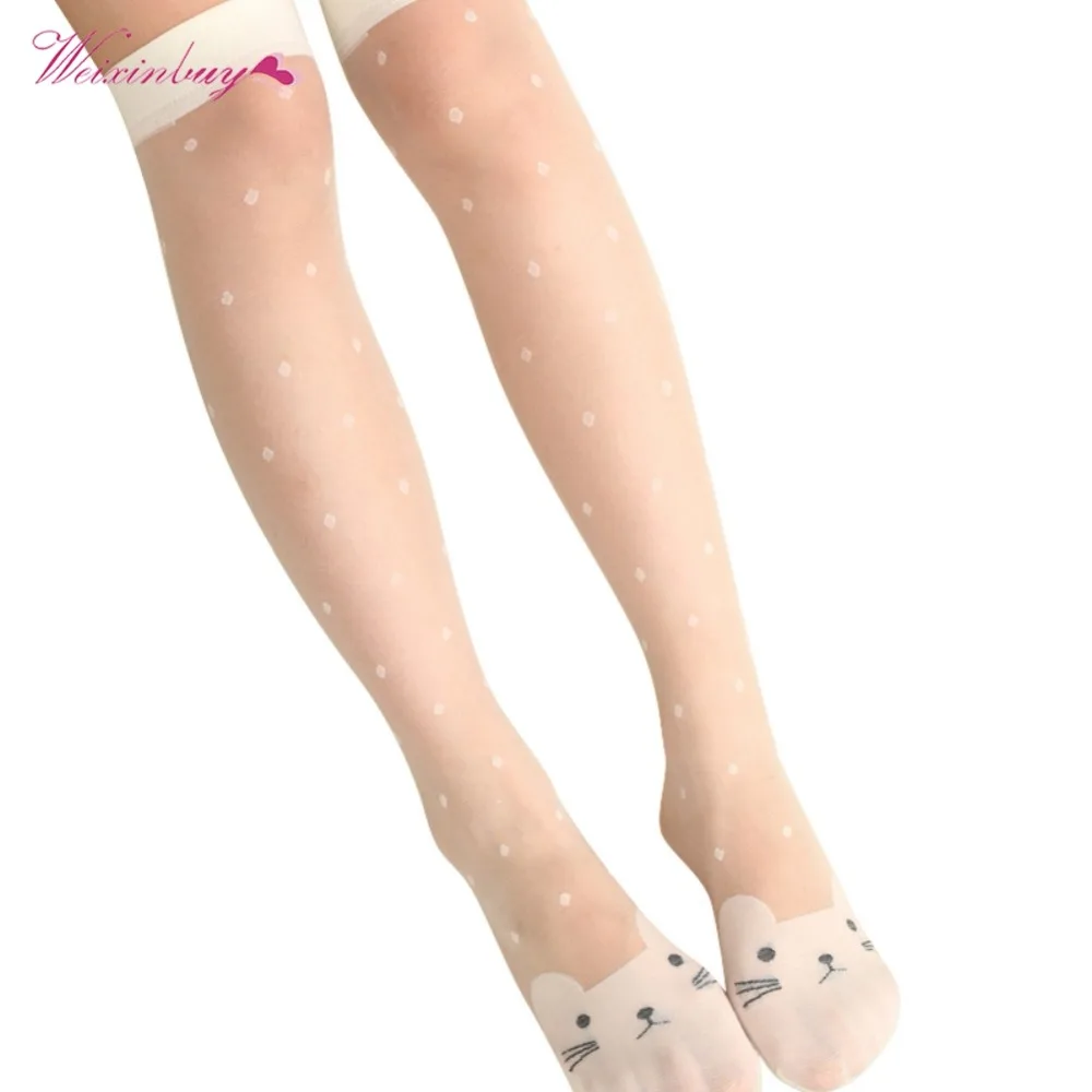 WX1538MY