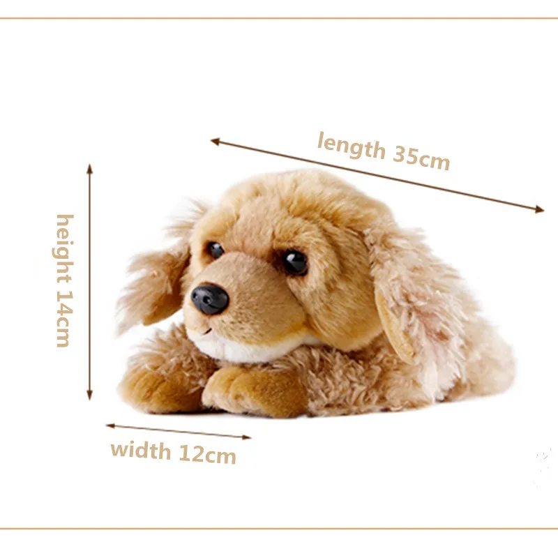 Dorimytrader lovely soft simulation animal Cocker Spaniel plush toy mini animals dogs doll baby gift decoration 35x12x14cm DY50137 (2)