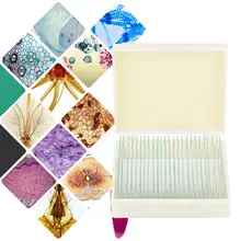 25pcs Biology Glass Prepared Microscope Slides School Laboratory Specimens 25pcs Biology Glass Prepared Microscope Slides School Laboratory Specimens