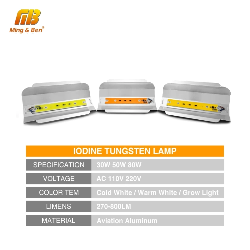  LED Grow Lamp 30W 50W 80W AC220V Full Spectrum LED COB Chip Phyto Lamp For Indoor Plant Seedling Gr - 33049999263