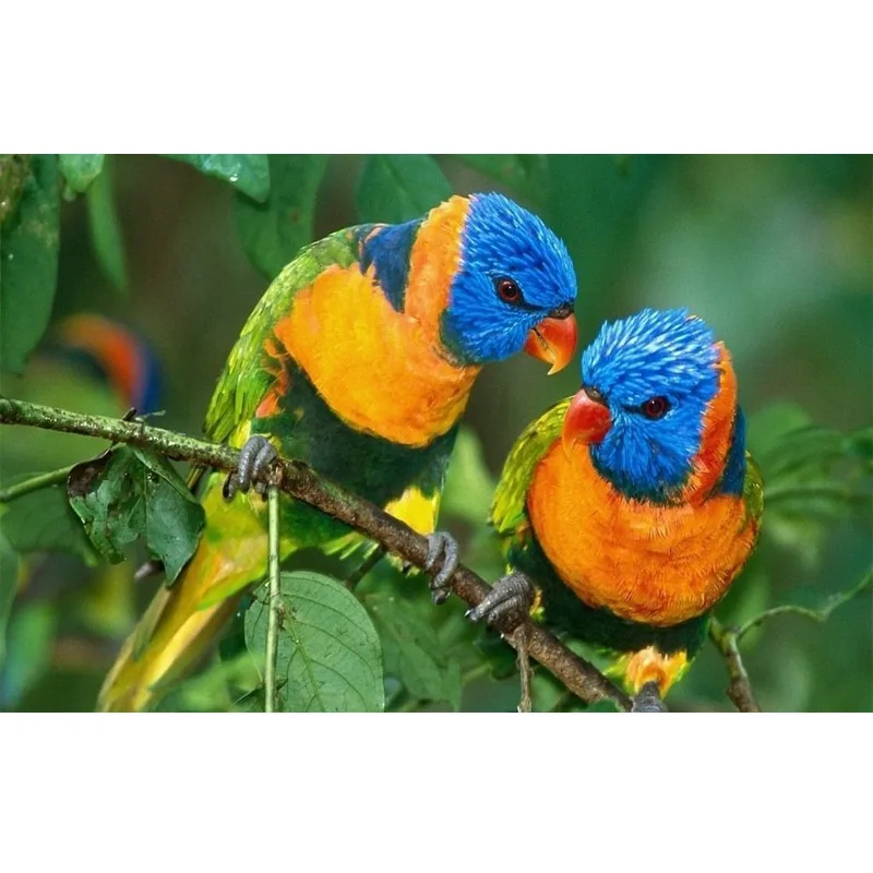 New Diy Diamond Painting Parrot on the tree Resin HandCrafts Mosaic Embroidery Sale FC2703 | Дом и сад