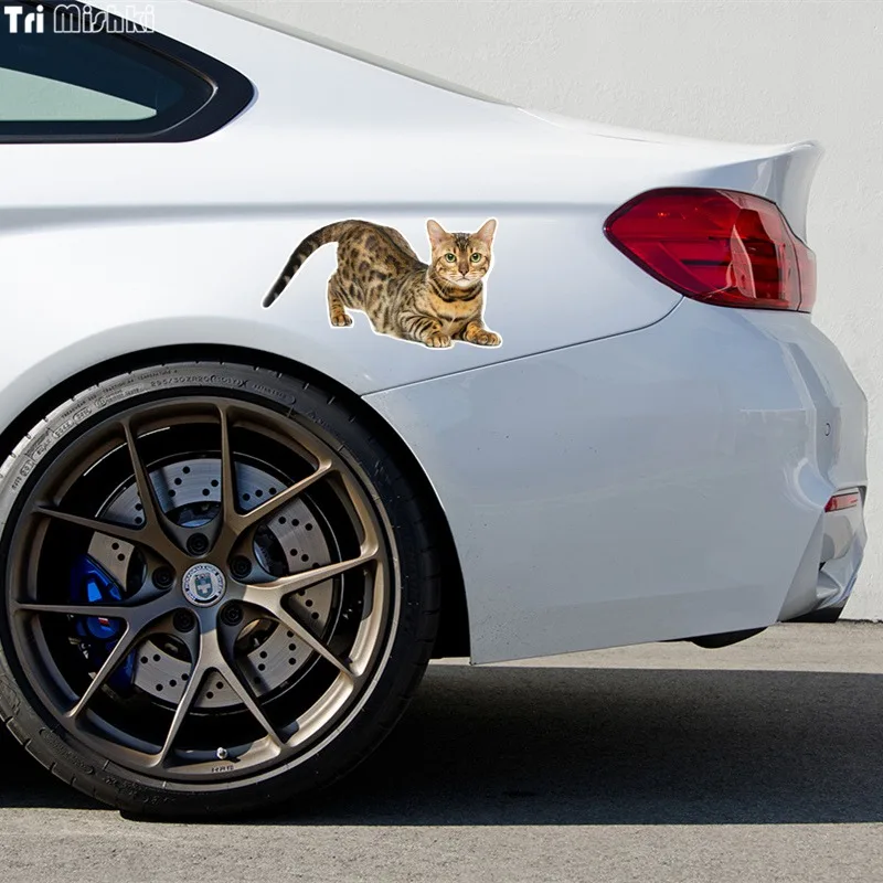Tri Mishki WCS629 11x21 см Бенгальская кошка Сибирская забавные автомобильные наклейки