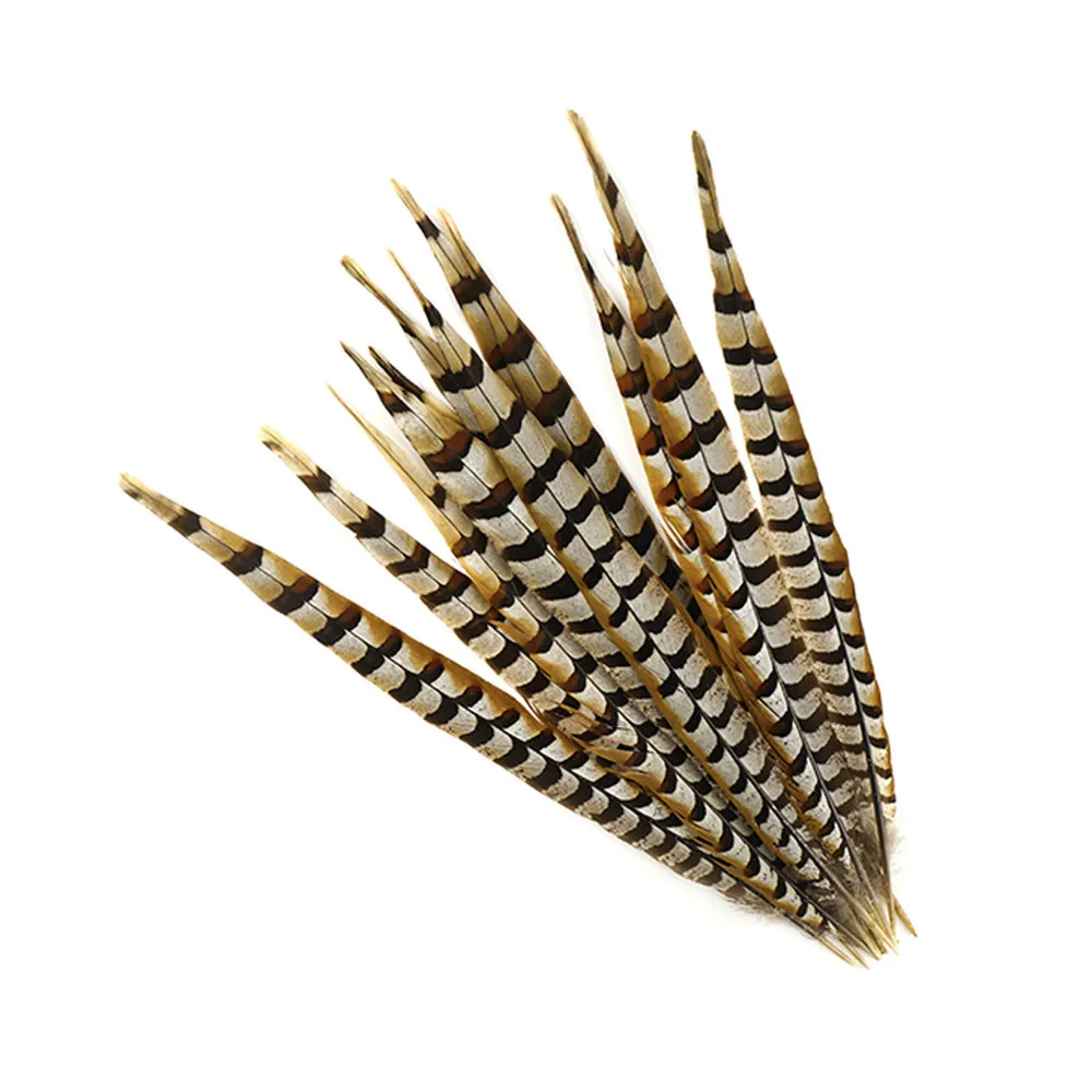 natural-venery-pheasant-feather-tail-VP20--N-MAIN_1
